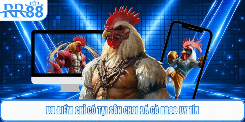 Ưu điểm chỉ có tại sân chơi đá gà RR88 uy tín